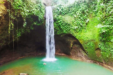 Ubud: tour de las epectaculares cascadasTour de cascadas con arrozal y columpio en la selva