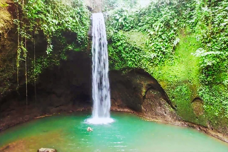 Ubud: tour de las epectaculares cascadasTour de cascadas con arrozal y columpio en la selva