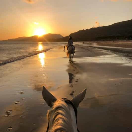 Santa Barbara private beach horseback ride