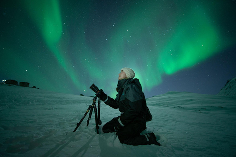 LEVI Adults Only Northern Lights Hunt (ALL INCLUDED) Adults Only Aurora Hunt in the Finnish wilderness