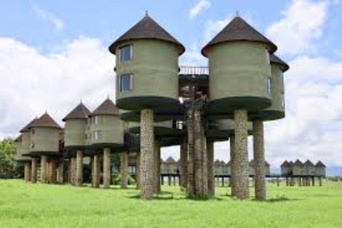 4 days Tsavo East, Amboseli and saltlick lodge safari