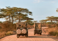 3 días de viaje Selous (Drive-In) - Housity
