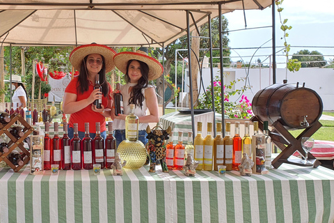 Huacachina: Pisco Route and a visit to the city of Ica