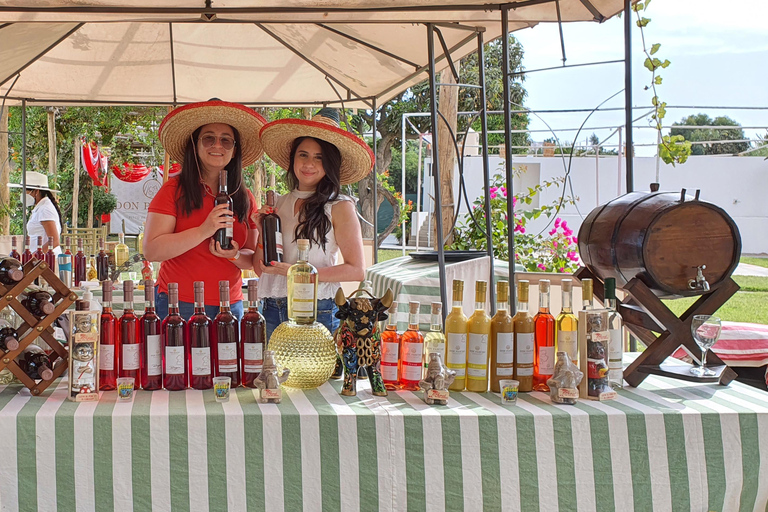 Huacachina: Pisco Route and a visit to the city of Ica