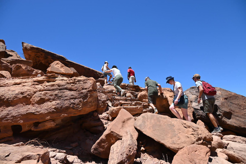 Windhoek: Namibia 12-Day Self-Drive Tour with Lodging