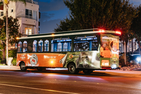 San Diego: City Lights Night Trolley Tour