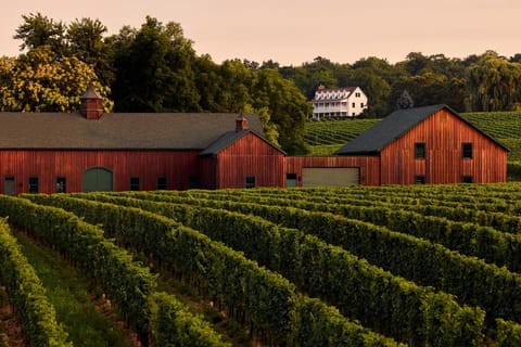 Niagara: Private Winery, Brewery, or Distillery Tasting Tour
