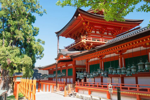 奈良公园：隐秘小径与鹿群导览之旅（含接送服务）