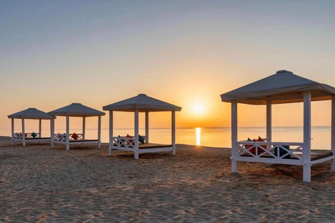 Doha Arabian Overnight : Desert Safari & Starlit Camp Stay