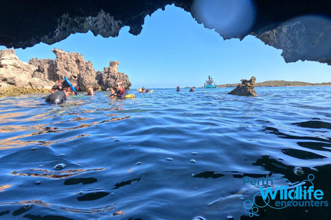 Rockingham: Snorkel Adventure Sightseeing Cruise with Lunch Tour with Snorkeling for Swimmers