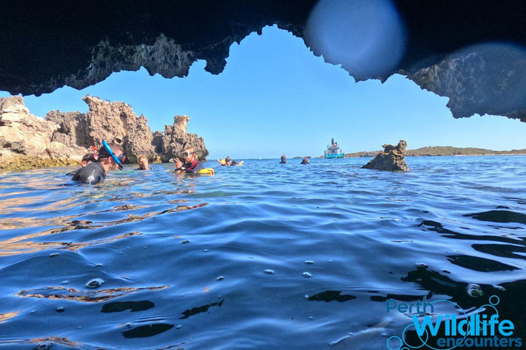 Rockingham: Snorkel Adventure Sightseeing Cruise with Lunch Tour with Snorkeling for Swimmers