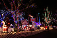 Vancouver Christmas Light Tour private - Hizvo