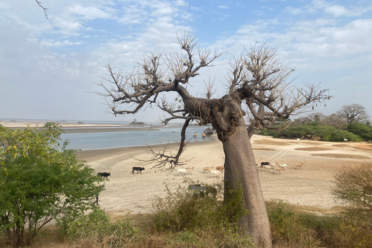 Saloum Islands: 2-night visit