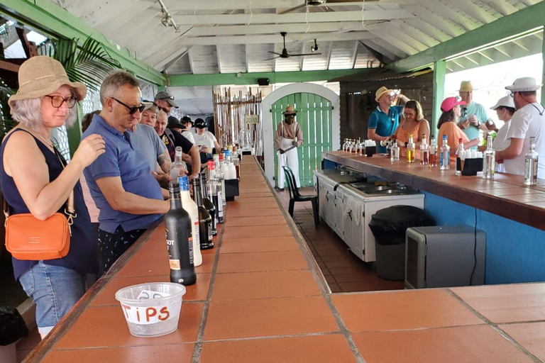 St. Lucia: Soufriere Day Trip with Mud Baths and Waterfall Soufriere, St. Lucia Island Tour with Mud bath