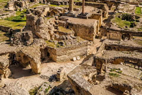 Carthage & Sidi Bou Said Private Tour