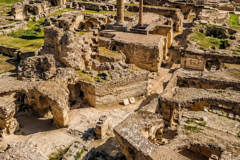 Carthage & Sidi Bou Said Private Tour