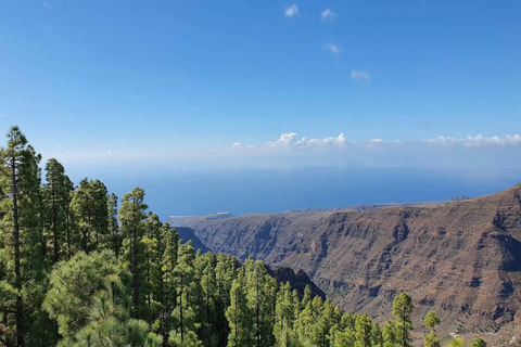 Tenerife - La Gomera: Private Expedition to the Prehistoric Forest
