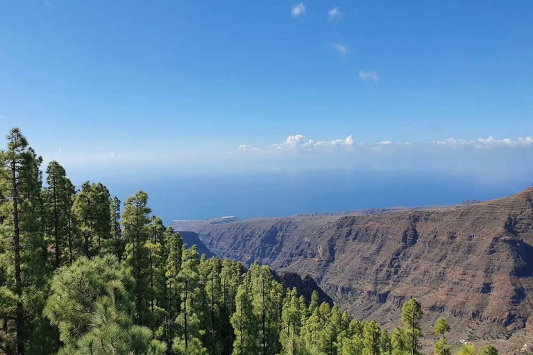 Tenerife - La Gomera: Private Expedition to the Prehistoric Forest