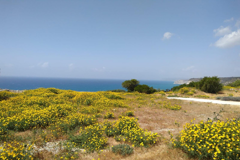 Explore the Wonders of Cyprus from Limassol Cruise Terminal