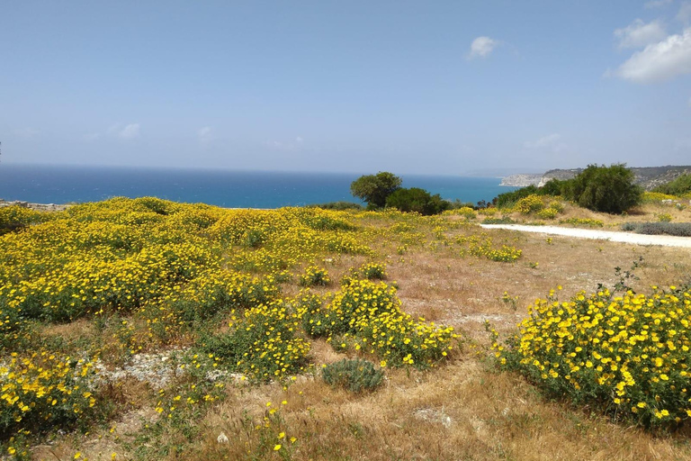 Explore the Wonders of Cyprus from Limassol Cruise Terminal