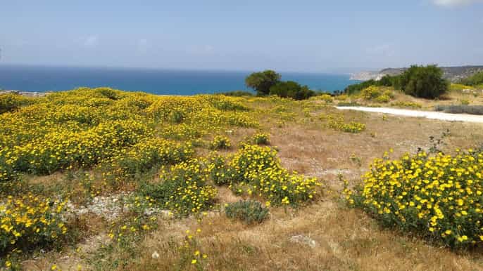 Explora las maravillas de Chipre desde Limasol: tour privado
