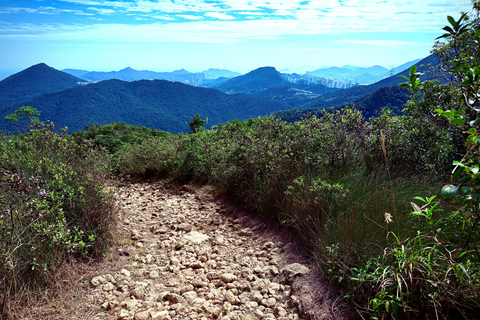 Hong Kong: Lion Rock Ridge Views Guided Hike (4 Hours)