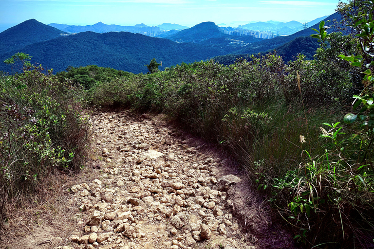 Hong Kong: Lion Rock Ridge Views Guided Hike (4 Hours)