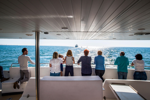 Le Grau-du-Roi - Sea trip to meet the fishing trawlers