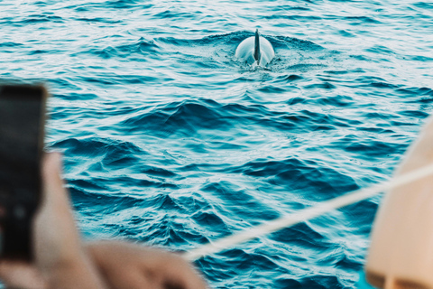 Djerba: Private Boat Trip to Sidi Jmour | Sensations & Adventure