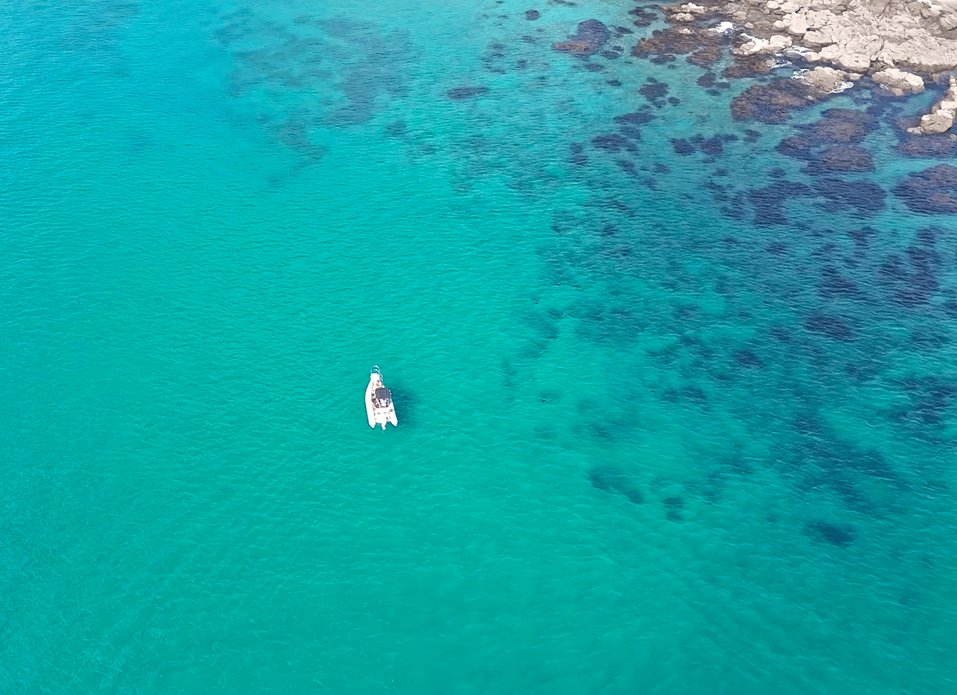 Whangamata: Guidet kajakoplevelse på Donut Island
