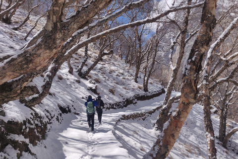 Trek de la vallée de Nar Phu