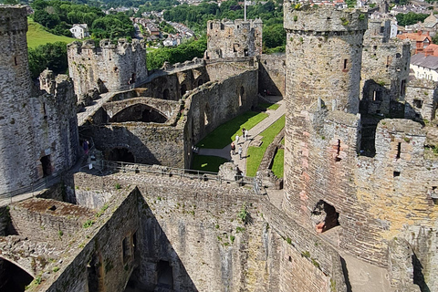 Conwy: Conwy Castle Guided Tour