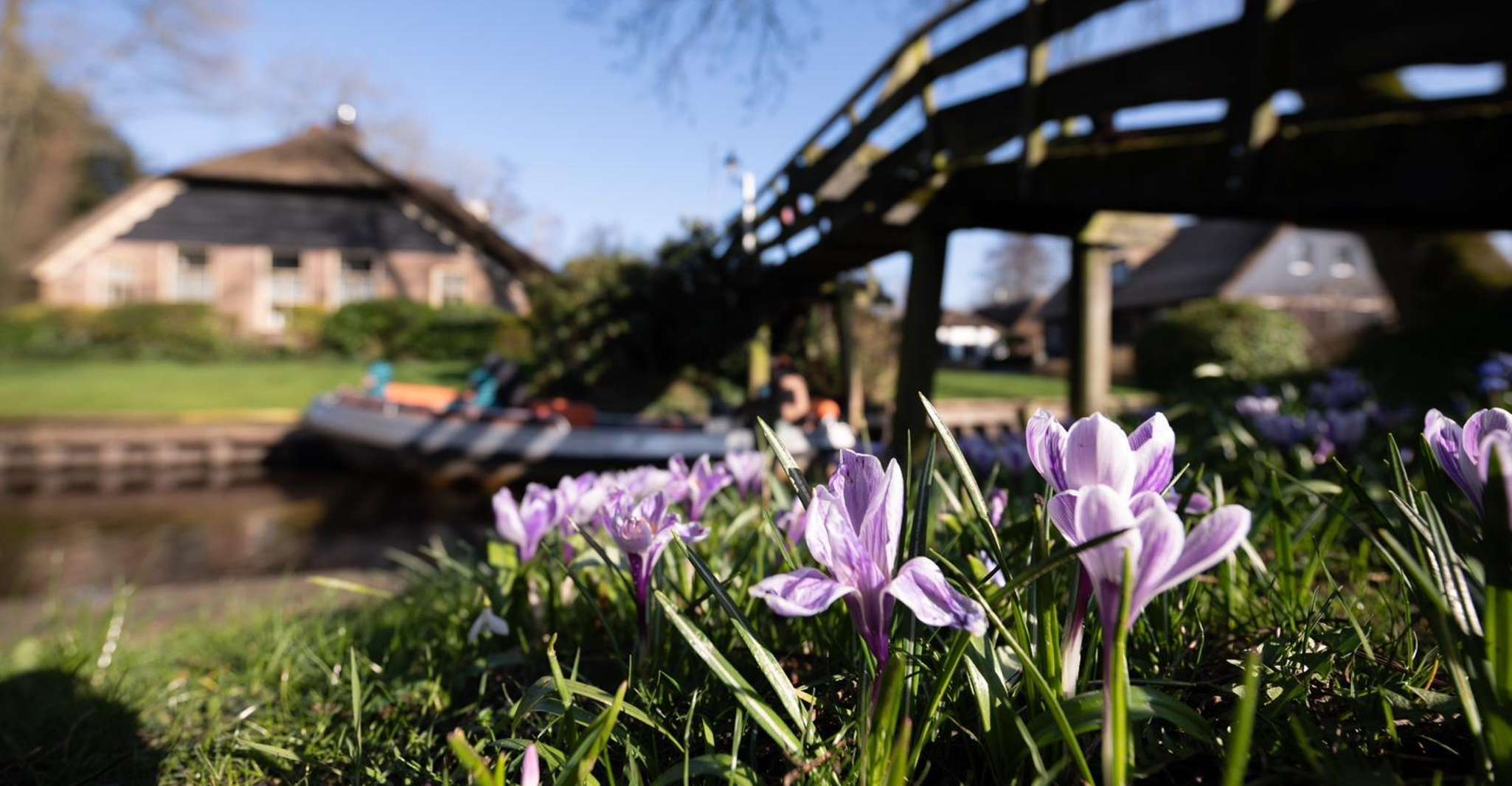 Amsterdam, Giethoorn and Zaanse Schans Windmills Day Tour - Housity