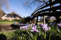阿姆斯特丹，Giethoorn和Zaanse Schans Windmills Day Tour - Housity