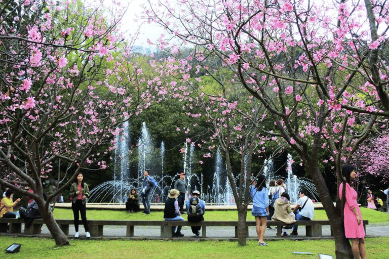 阳明山和北投地热奇观一日游