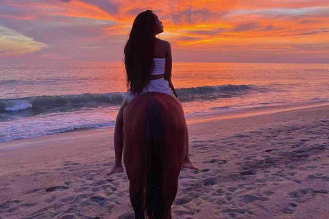 From Huatulco: Beach Horseback Riding Experience Regular Beach Horseback Riding Tour (2 hours)