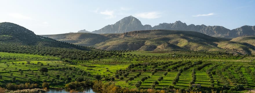 Au départ de Mahdia : Journée à Zaghouan entre archéologie et aventure