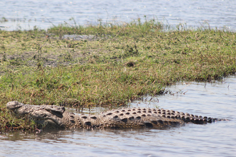 Chobe förlängd dagsutflykt