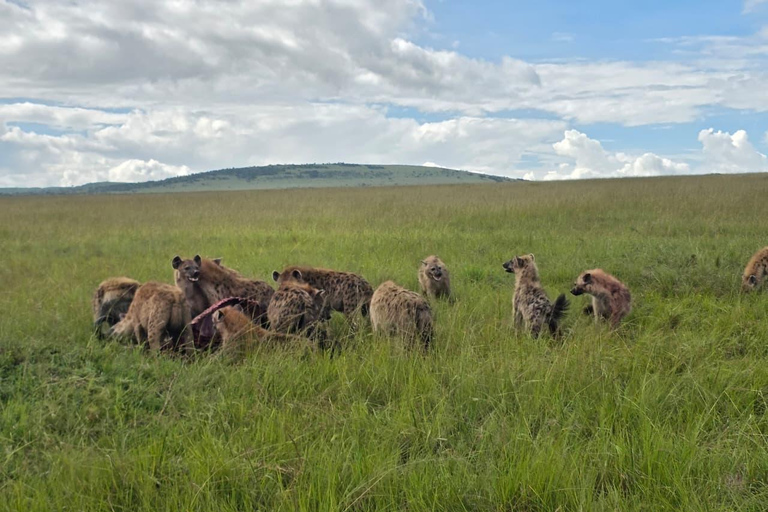 Maasai Mara: 3-Day Safari with Spanish Guide Small Group