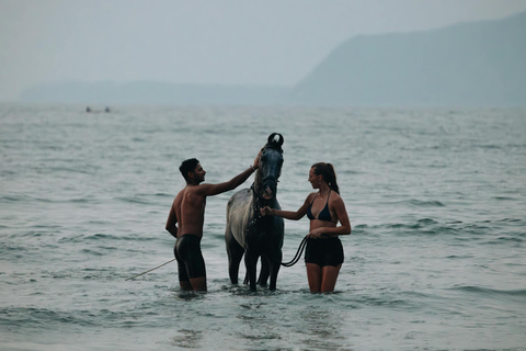 Saint Lucia: Sunset Horseback Ride & Ocean Swim Experience