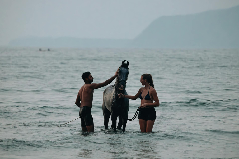 Saint Lucia: Sunset Horseback Ride & Ocean Swim Experience