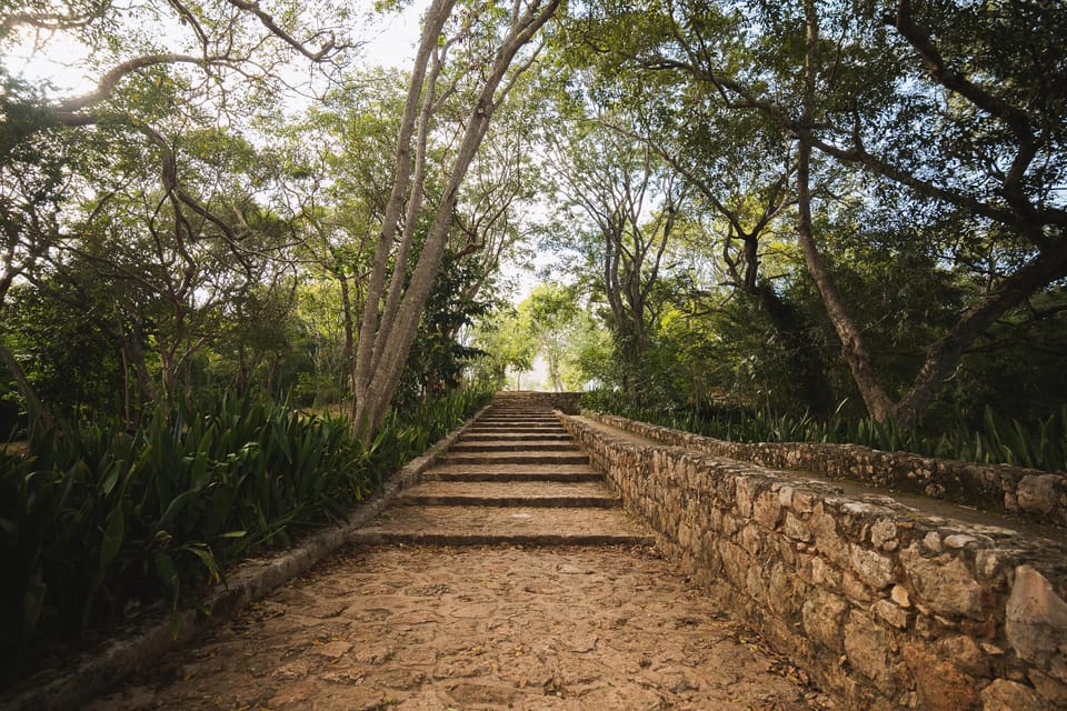 Mérida: Uxmal Privado, excursión de un día con baño en cenote y comida ...