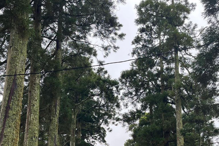 Azores: Sete Cidades Half-Day Tour – Lakes, Volcanoes, and Viewpoints CELEBRITY INFINITY on May 4, 2026