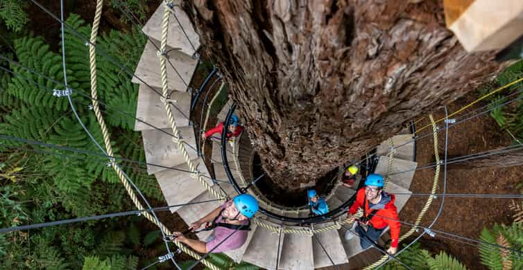 Rotorua: Redwoods Altitude High Ropes Adventure