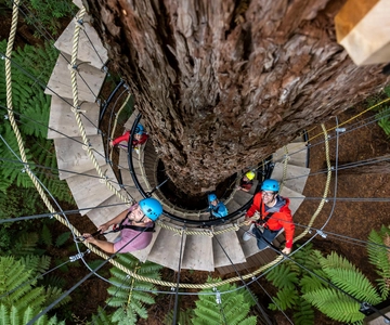 Rotorua: Redwoods Altitude High Ropes Adventure