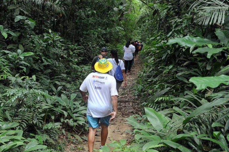 Santos: Waterfall Hike and Boat Ride at the Rain Forest from Sao Paulo: Waterfall Hike and Boat Ride at the R Forest