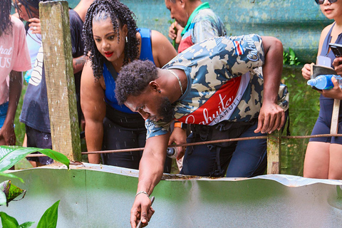 Cahuita National Park+Bribri Chocolate Tour+Waterfalls Tour+Lunch