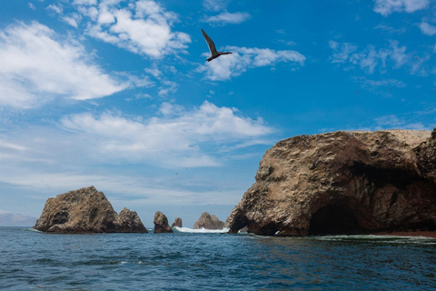 From Lima: Ballestas Islands, adventure in Ica and Glamping