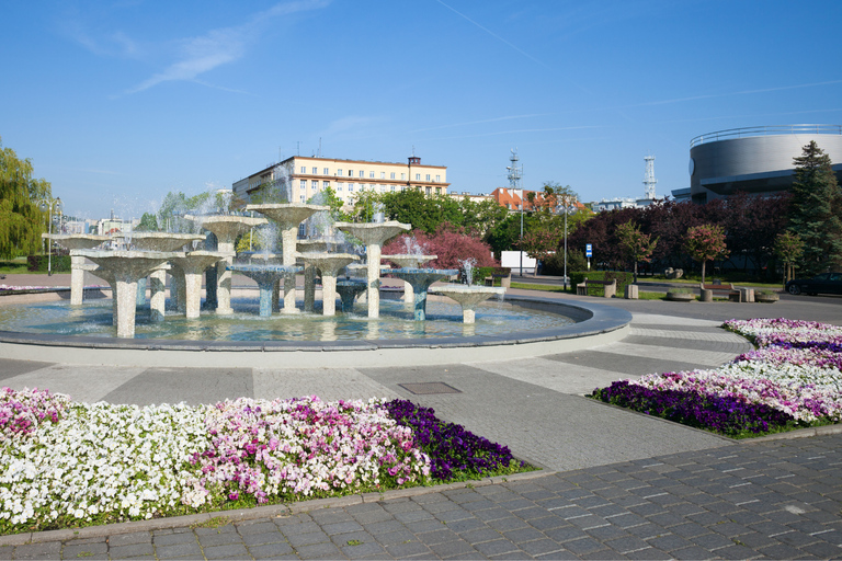 Gdynia: Top Highlights Private Walking Tour with Viewpoint Gdynia: Private Walking Tour with Kamienna Góra Viewpoint
