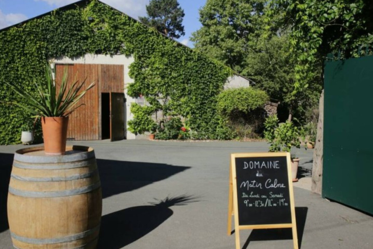 Educational hike in the Anjou vineyards Wine Hike